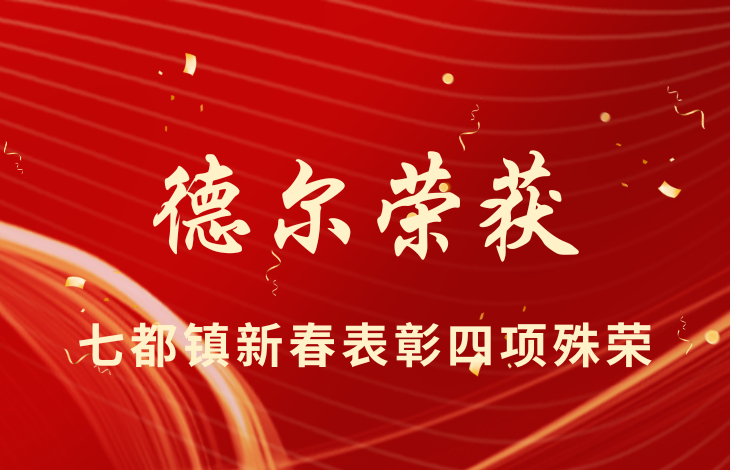 集团荣誉 | 德尔荣获七都镇新春表彰四项殊荣
